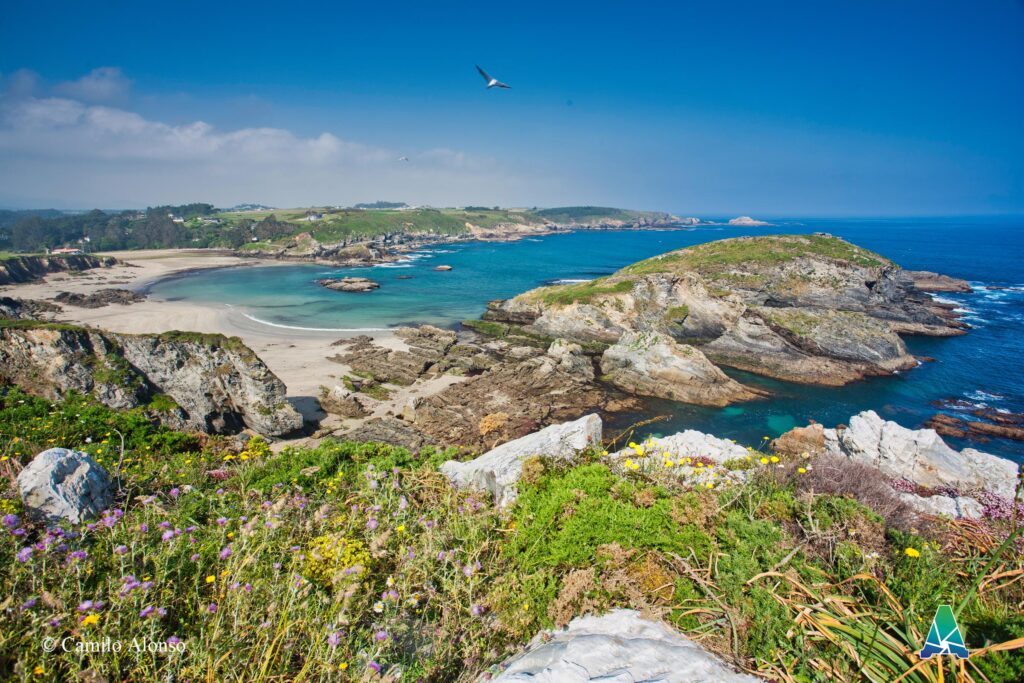 Playa de Porcia. El Franco